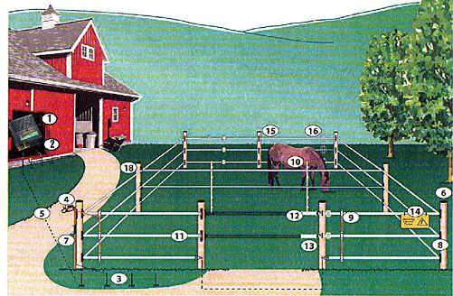 Electric Horse Fence Supplies Online - Electric Fence